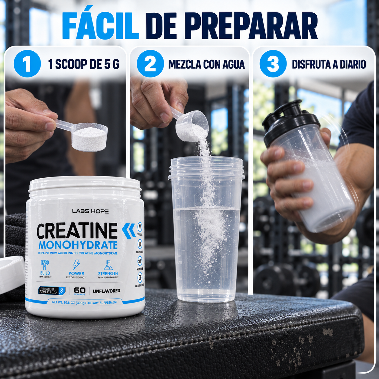 Creatina Monohidratada LabsHope 300g